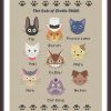 il 1000xN.6933593127 jdsb - Ghibli US Store